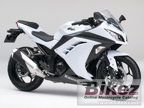 Big Kawasaki ninja 250 picture and wallpaper from Bikez.com